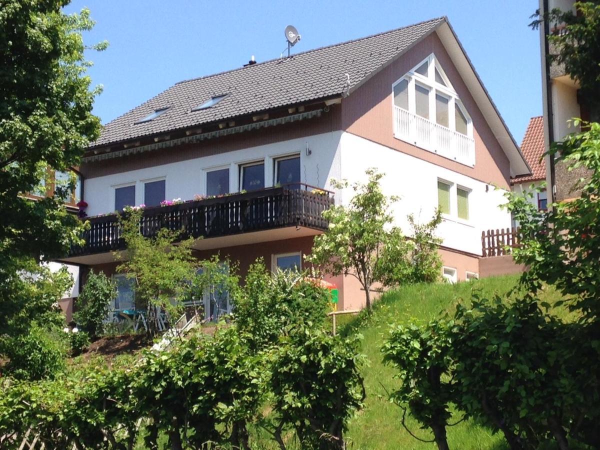 Haus Talblick Apartamento Freudenstadt Exterior foto